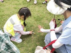 -杭州龙井幼儿园