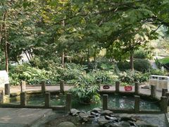 -成都市活水公园