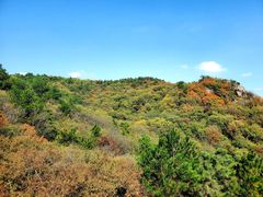 -南京市无想山景区