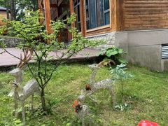 -洛阳白云山景区