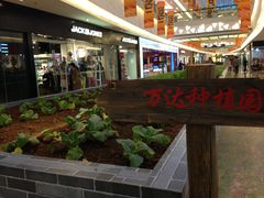 -万达广场(福州金融街店)
