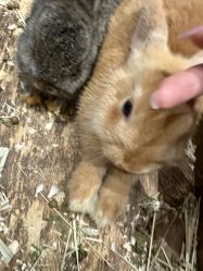 -Zoolung Zoolung动物主题公园(海信广场店)