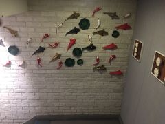 -小平岛開海水饺(浑南店)