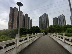 -广东花都湖国家湿地公园