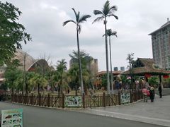 -灵玲国际马戏城