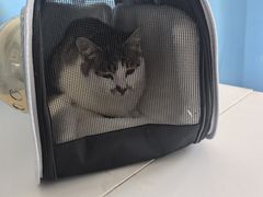 -瑞派福兴宠物医院犬猫全科·骨科·中西医结合(河东店)
