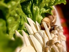 -老牌坊云南鱼豆花火锅(爱建店)