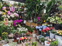 -循礼门鲜花花市(武汉循礼门店)