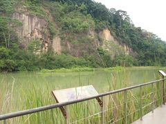 -武吉知马自然保护区