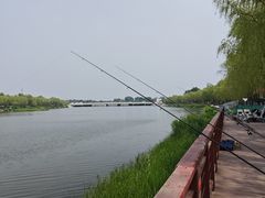 -绿堤公园