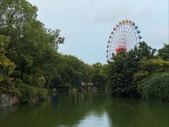 -南湖梦幻岛