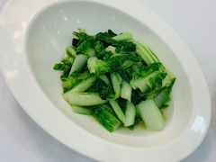 -新名仕新白玉兰餐厅