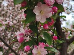 -元大都城垣遗址公园