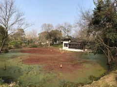 -盆景园(扬州大运河文化旅游度假区)