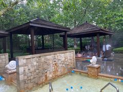 -春晖园度假酒店温泉