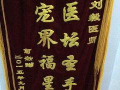 -瑞派宠物医院·24h·骨外科·皮肤科·全科宠物医疗转诊中心(沈阳浑南院)