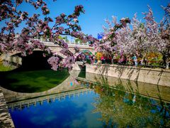 -元大都城垣遗址公园