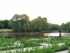 -中关村生命科学园