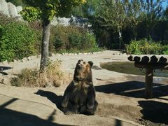 -齐齐哈尔龙沙动植物园