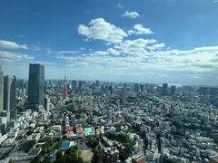 -六本木新城展望台(东京城市景观)