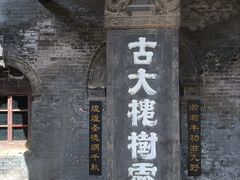 -大槐树寻根祭祖园