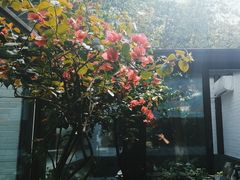 -大妙火锅·非物质文化遗产(东湖公园店)