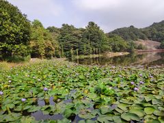 -广州市石门国家森林公园