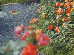 -人民公园(罗湖区)