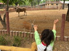 -石家庄市动物园