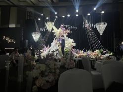 -南京华泰万丽酒店·宴会厅