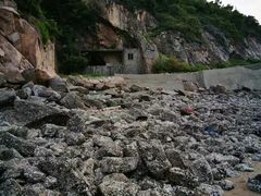 -北岐滩涂