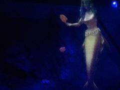 iphone_upload_pic-贝壳梦幻世界