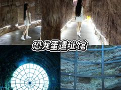 -中国西峡恐龙遗迹园
