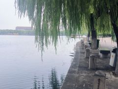 -济南国际园博园