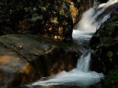 -祁门牯牛降观音堂风景区