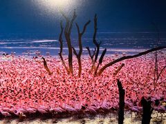 -罗红摄影艺术馆