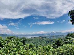 -三得正宗乌烈乳羊(环城东二路店)