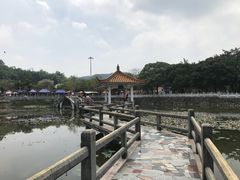 -红山村