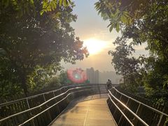 -福道