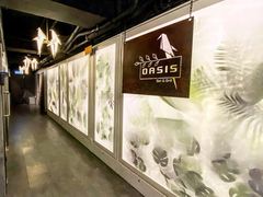 -Oasis Bar & Grill