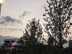 -荆九爷爆炒桥头三嫩(浙大店)