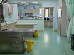 -北京观赏动物医院·24小时大型综合·猫专科·异宠专科