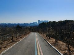 -涂山风景区