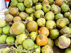 -墨脱石锅椰子鸡•香草鸭•东山羊(大东海店)