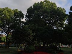 -上海市松江区泗泾医院