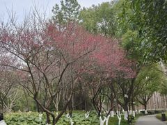 -范蠡湖公园
