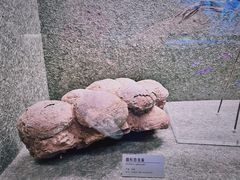 -常州博物馆