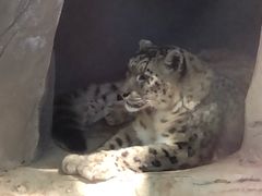 -青藏高原野生动物园