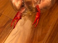 -杨记玉喜龙虾肥蛤(文东店)