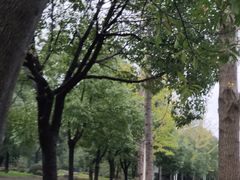-岳阳市博物馆